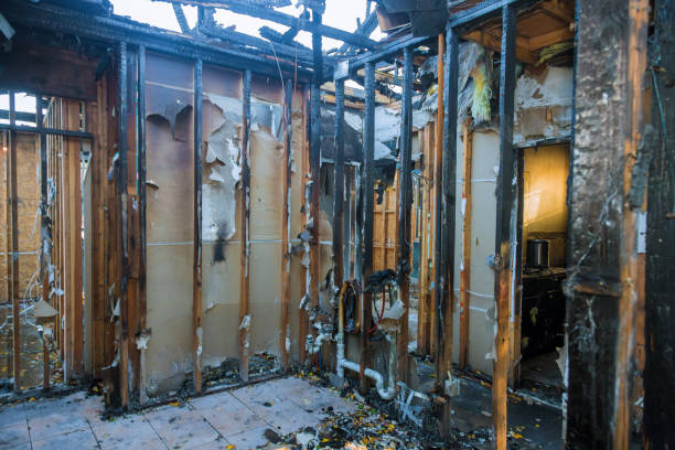 Professional Fire Damage Removal technician working in Tidmore Bend, AL